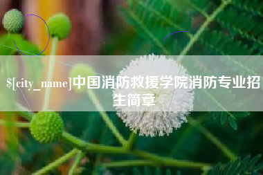 河间中国消防救援学院消防专业招生简章