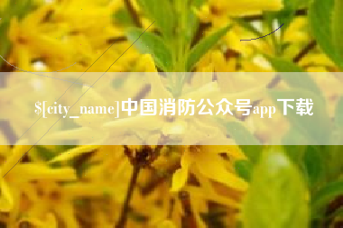 河间中国消防公众号app下载
