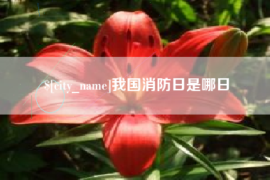 河间我国消防日是哪日