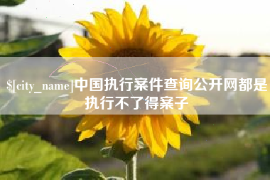 河间中国执行案件查询公开网都是执行不了得案子