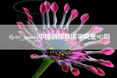 河间中国消防救援学院是985吗