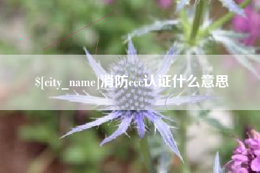 河间消防ccc认证什么意思