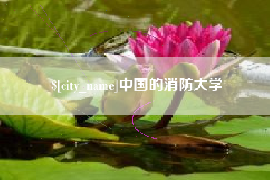 河间中国的消防大学