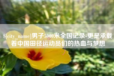 河间男子5000米全国记录-更是承载着中国田径运动员们的热血与梦想