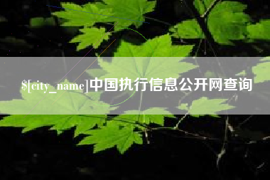 河间中国执行信息公开网查询
