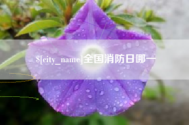 河间全国消防日哪一