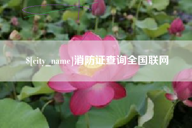 河间消防证查询全国联网