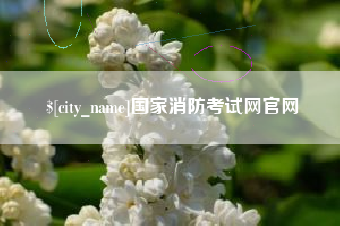 河间国家消防考试网官网
