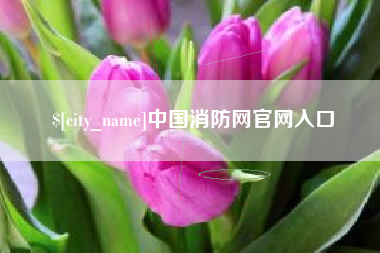河间中国消防网官网入口
