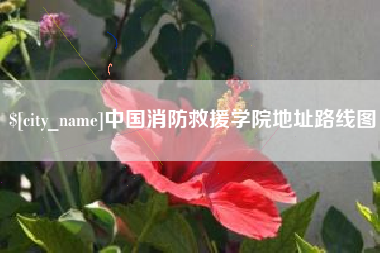 河间中国消防救援学院地址路线图