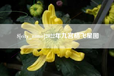 河间2022年九宫格飞星图