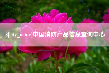 河间中国消防产品信息查询中心