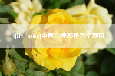 河间中国金牌都是哪个项目