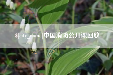 河间中国消防公开课回放