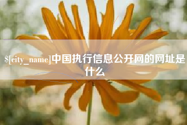 河间中国执行信息公开网的网址是什么