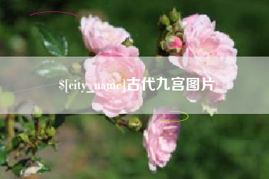 河间古代九宫图片