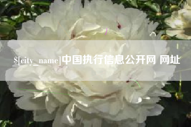 河间中国执行信息公开网 网址