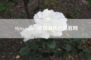 河间中国消防产品官网