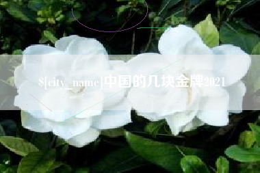河间中国的几块金牌2021