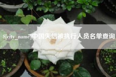 河间中国失信被执行人员名单查询