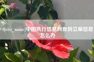 河间中国执行信息网查到立案信息怎么办
