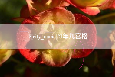 河间21年九宫格