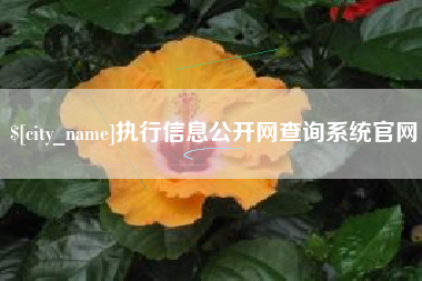 河间执行信息公开网查询系统官网