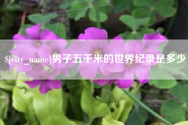 河间男子五千米的世界纪录是多少