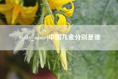河间中国九金分别是谁