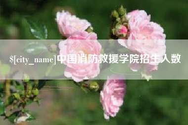 河间中国消防救援学院招生人数