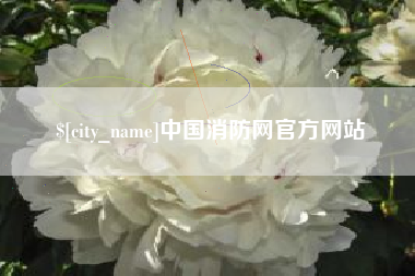 河间中国消防网官方网站