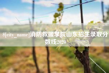 河间消防救援学院山东招生录取分数线2020