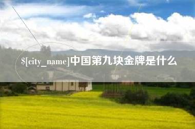 河间中国第九块金牌是什么