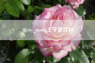 河间王子豪百科