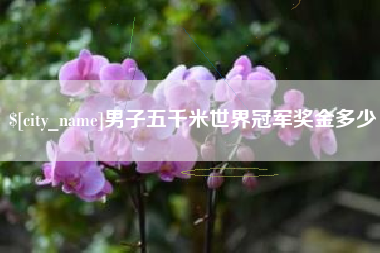 河间男子五千米世界冠军奖金多少
