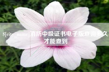 河间消防中级证书电子版查询多久才能查到