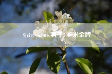 河间男子5000米金牌