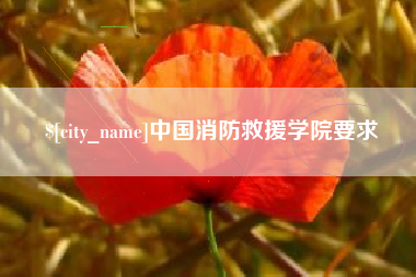 河间中国消防救援学院要求