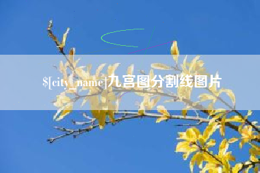 河间九宫图分割线图片