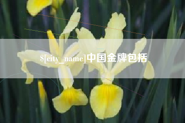河间中国金牌包括