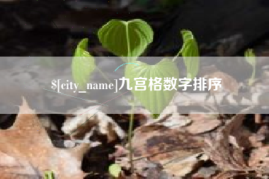 河间九宫格数字排序