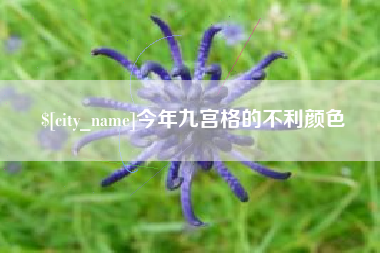 河间今年九宫格的不利颜色