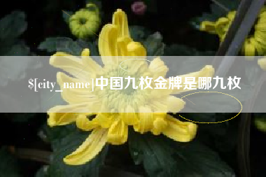 河间中国九枚金牌是哪九枚