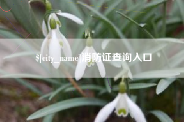 河间消防证查询入口