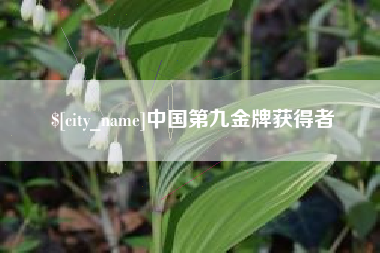 河间中国第九金牌获得者