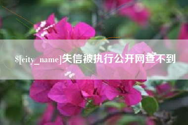 河间失信被执行公开网查不到