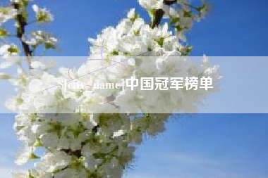 河间中国冠军榜单