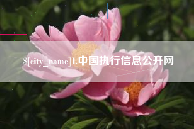 河间1.中国执行信息公开网