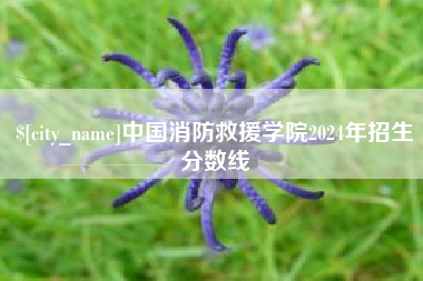 河间中国消防救援学院2024年招生分数线