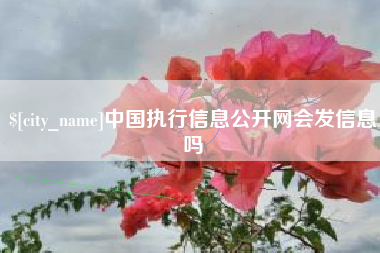 河间中国执行信息公开网会发信息吗